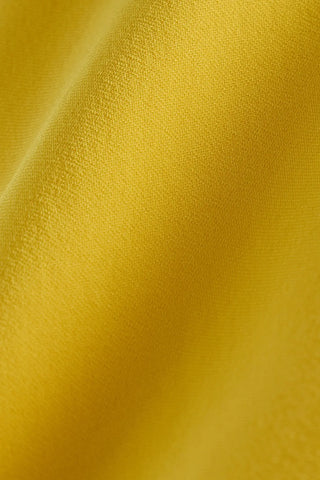 Close up of Ari Daffodil