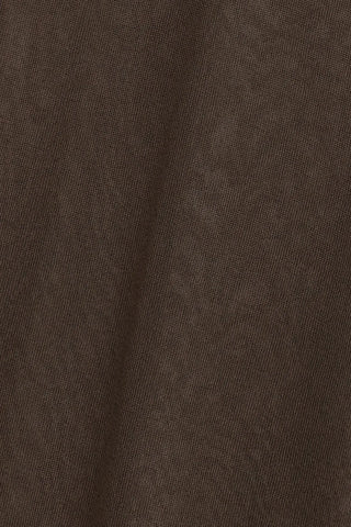Close up of Jack in Chocolate.
