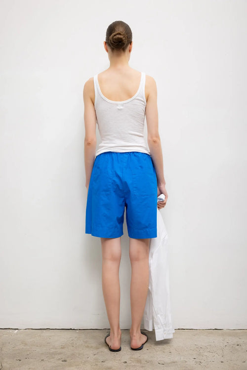 #color_leset-blue