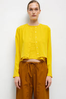 #color_daffodil