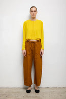 #color_daffodil