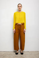#color_daffodil