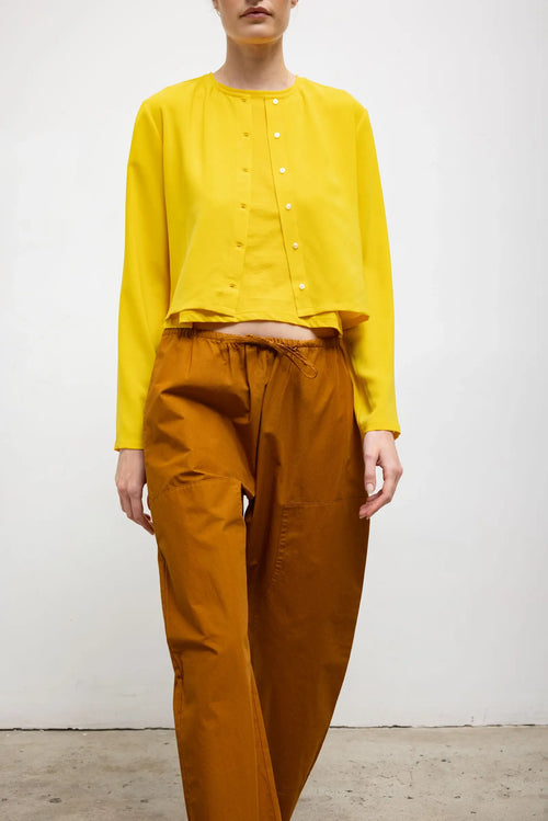 #color_daffodil