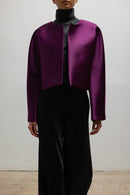 #color_aubergine