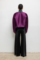 #color_aubergine