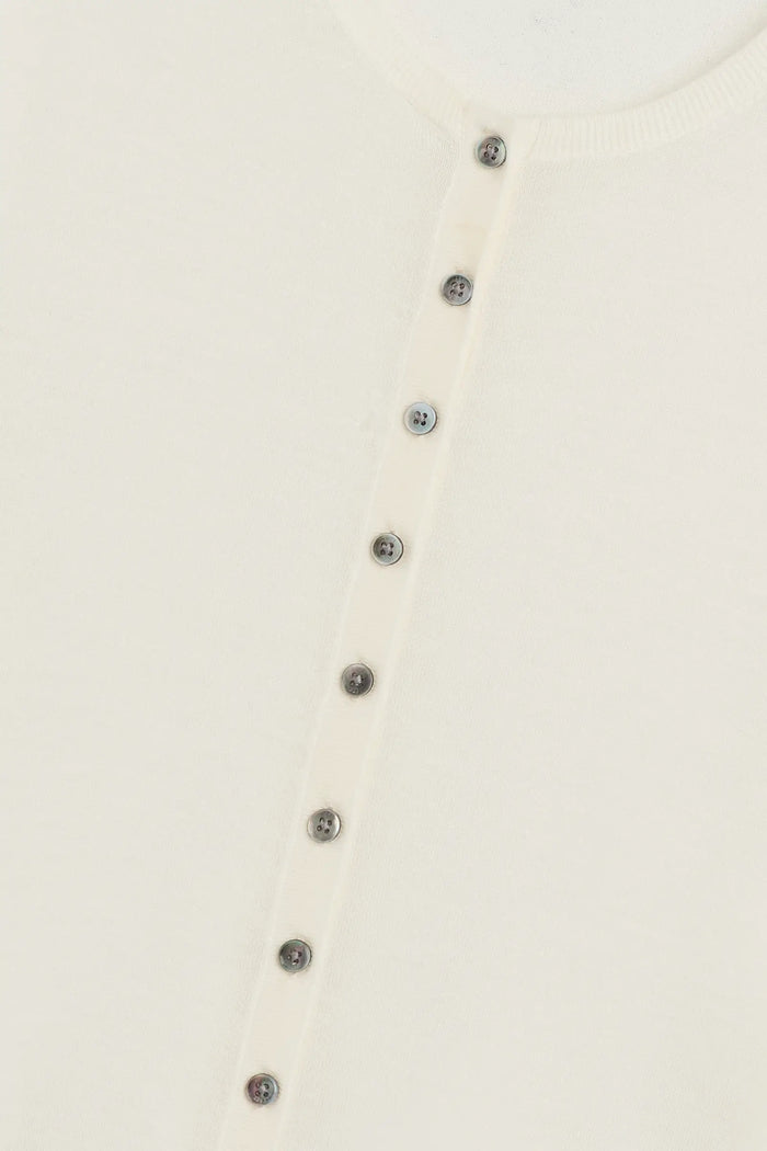 YOSHI PARCHMENT CLOSE UP