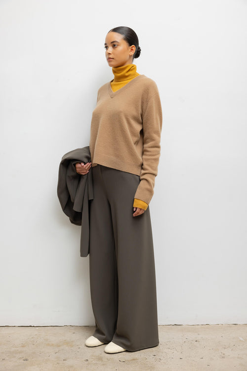 #color_camel