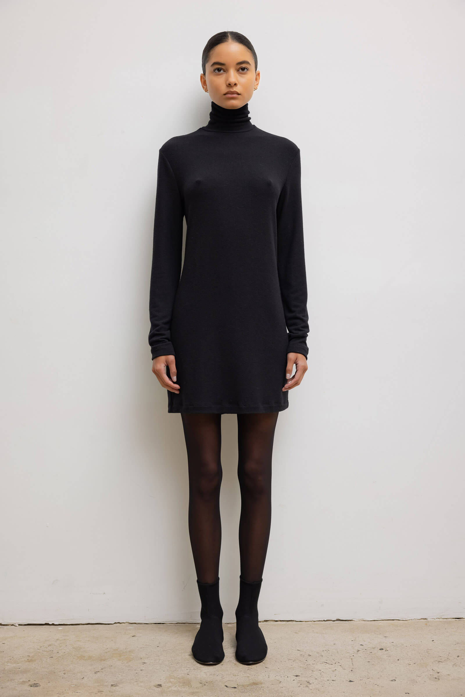 Lauren Turtleneck Dress