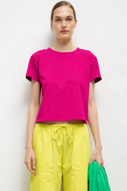 #color_amaranth