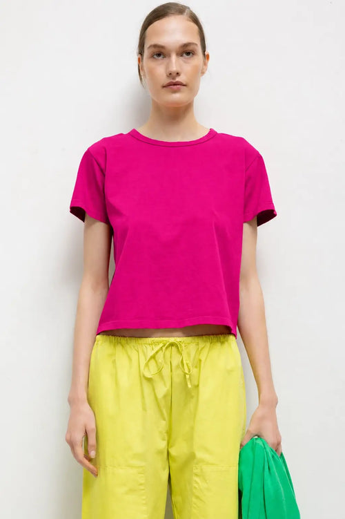 #color_amaranth