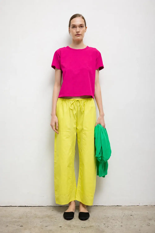 #color_amaranth