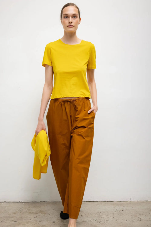 #color_daffodil