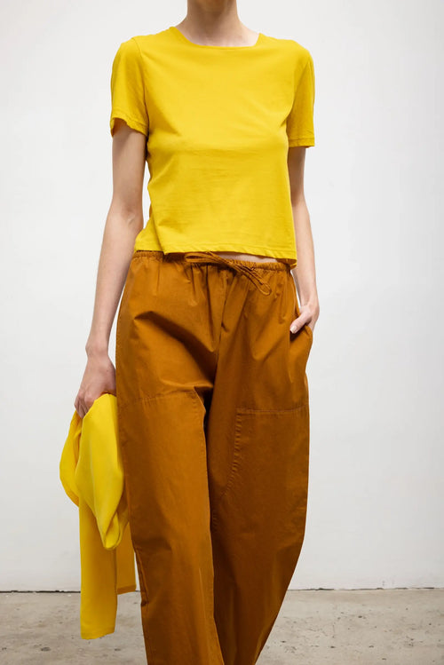 #color_daffodil