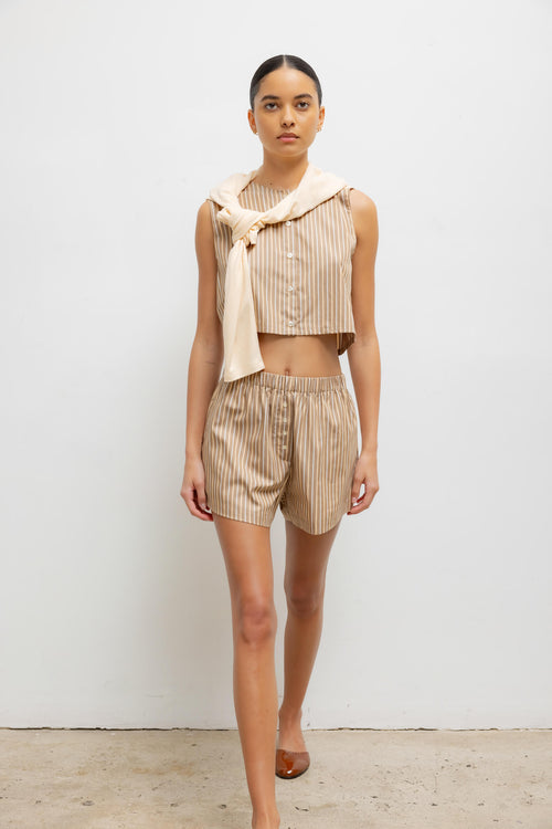 #color_mocha-brown-stripe