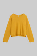 #color_mustard