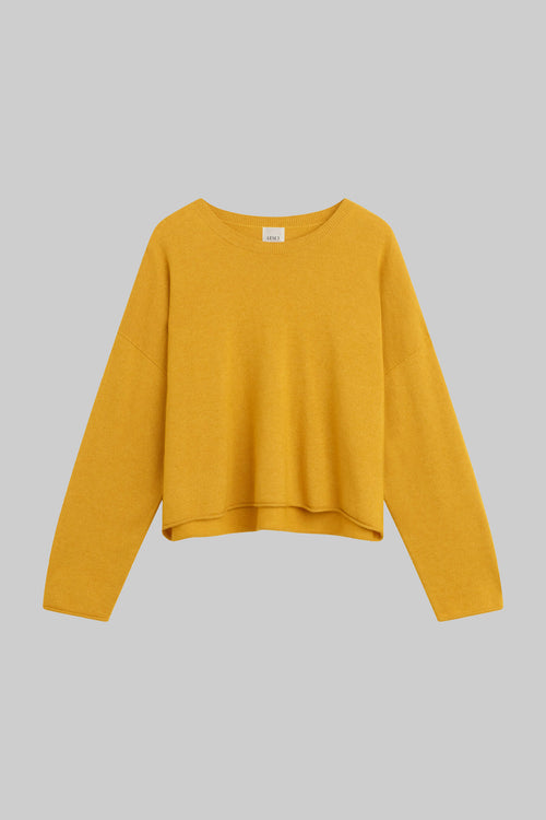 #color_mustard