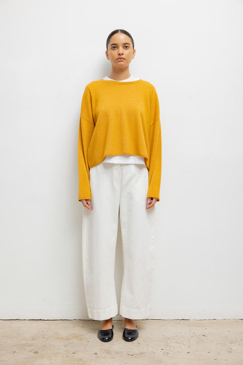 #color_mustard