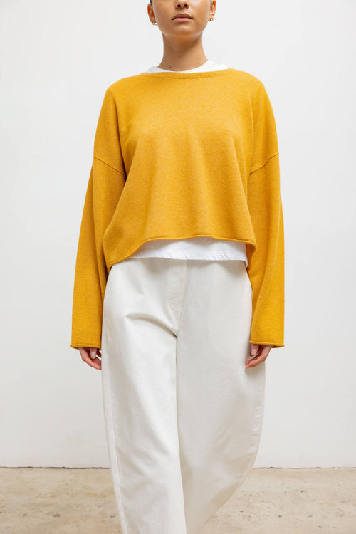 #color_mustard