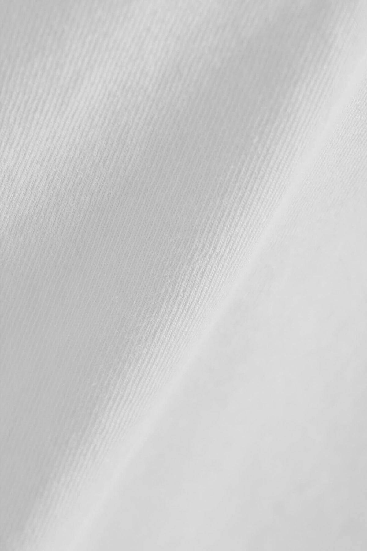 The Margo Slim Fit Tee - White - Image 7