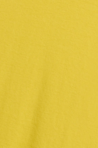 Close up of Milo in Daffodil.