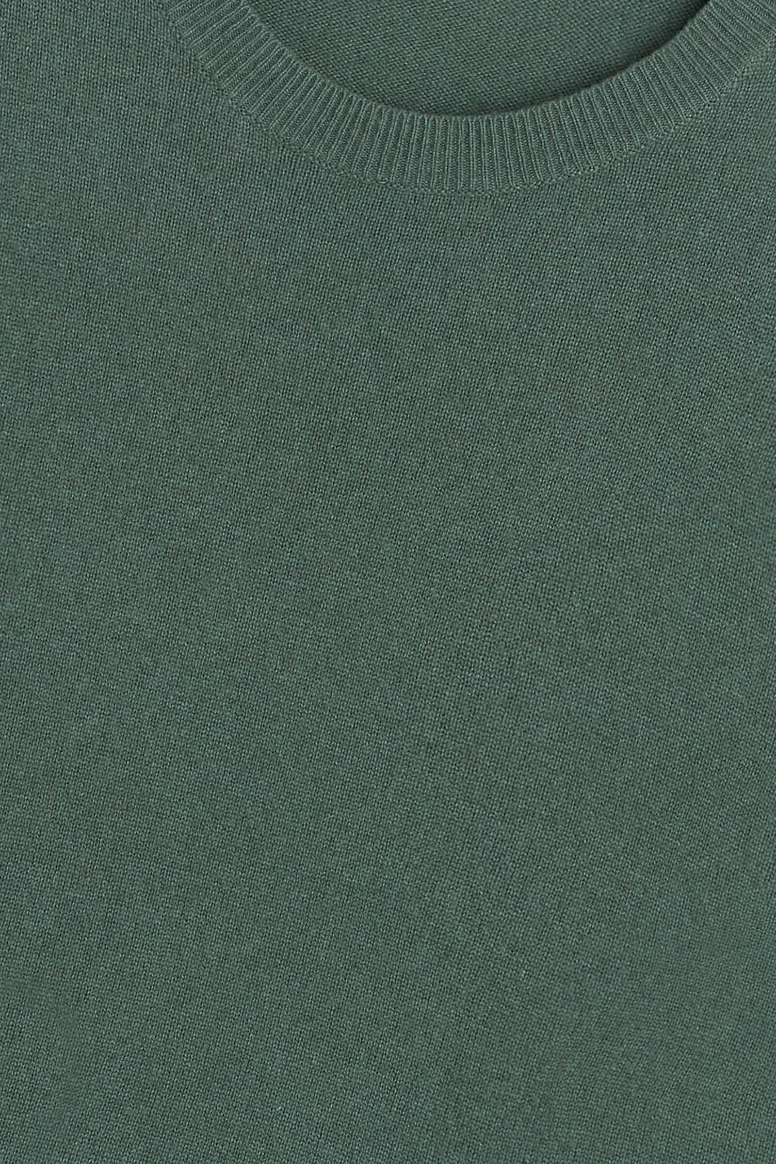 #color_eucalyptus